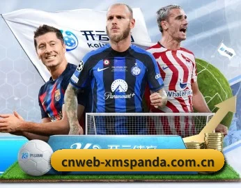 cnweb-xmspanda.com.cn APP 深度功能